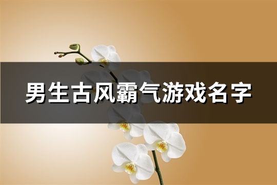 男生古風霸氣游戲名字(346個)