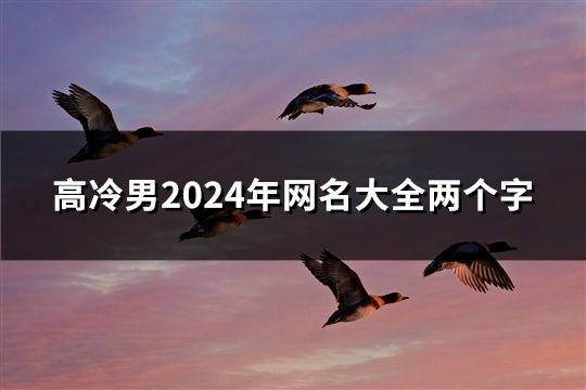 高冷男2024年網(wǎng)名大全兩個(gè)字(38個(gè))