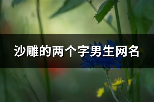 沙雕的兩個(gè)字男生網(wǎng)名(精選1713個(gè))