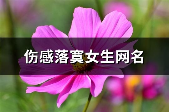 傷感落寞女生網(wǎng)名(共969個(gè))