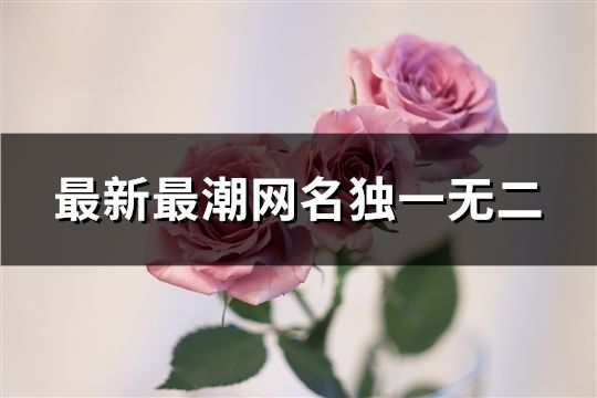 最新最潮網名獨一無二(共1419個)