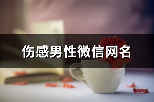 傷感男性微信網名(共688個)