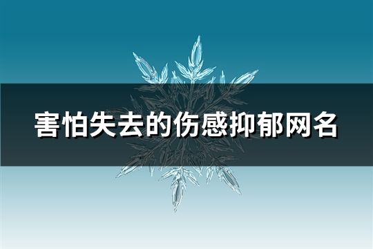 害怕失去的傷感抑郁網(wǎng)名(533個)