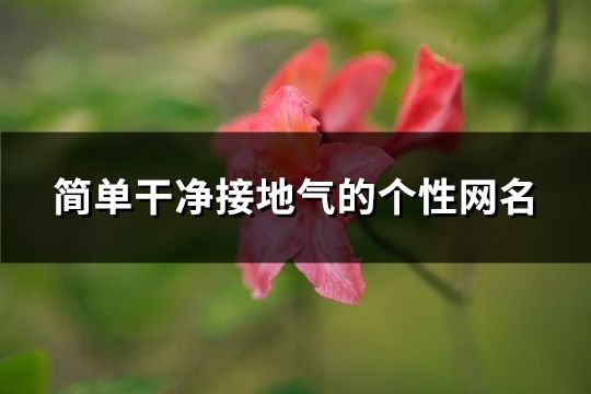 簡(jiǎn)單干凈接地氣的個(gè)性網(wǎng)名(119個(gè))