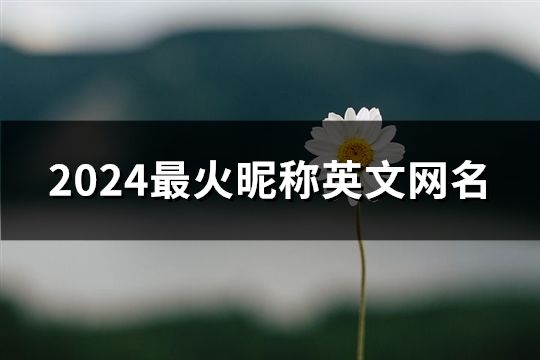 2024最火昵稱英文網名(443個)