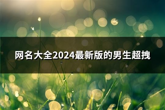 網名大全2024最新版的男生超拽(精選44個)