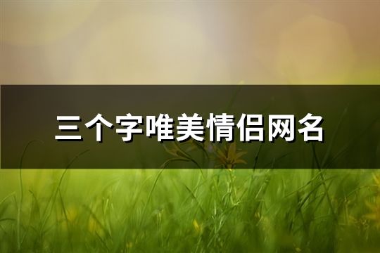 三個字唯美情侶網名(522對)