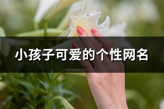 小孩子可愛的個性網名(共287個)