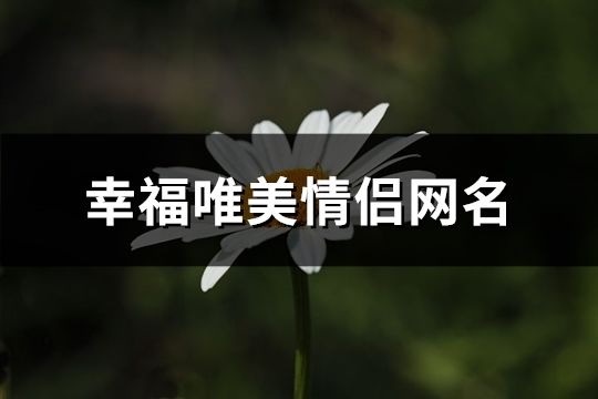 幸福唯美情侶網名(378對)