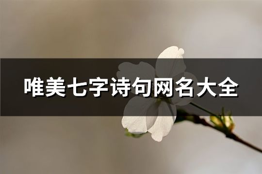 唯美七字詩句網名大全(622個)