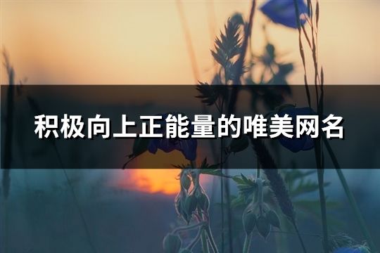 積極向上正能量的唯美網名(共627個)