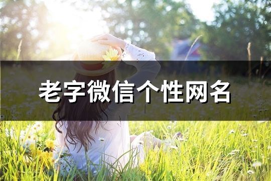 老字微信個性網(wǎng)名(68個)