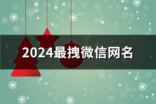 2024最拽微信網(wǎng)名(1056個(gè))