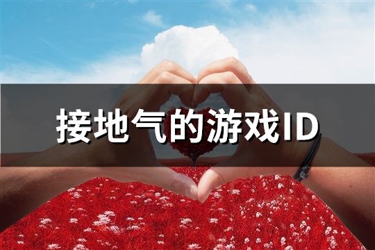 接地氣的游戲ID(共251個)