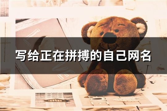 寫給正在拼搏的自己網名(共246個)