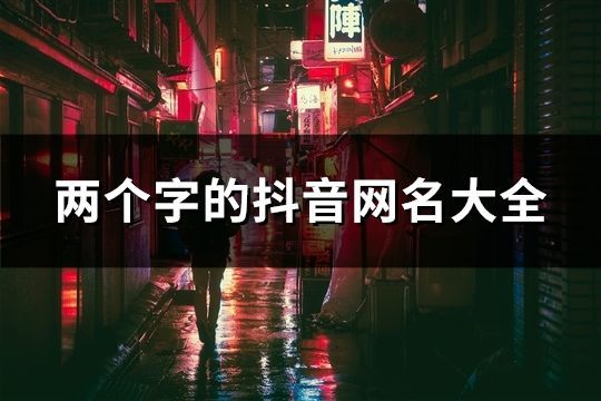 兩個(gè)字的抖音網(wǎng)名大全(1254個(gè))