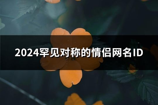 2024罕見對稱的情侶網(wǎng)名ID(20對)