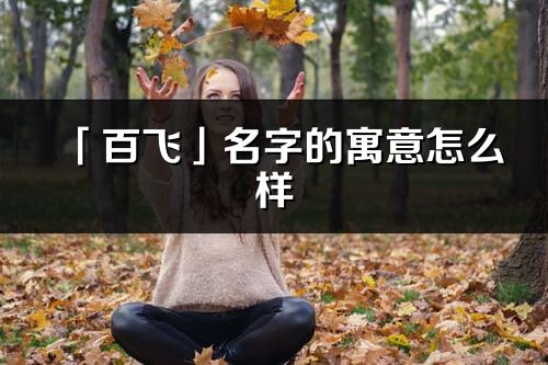「百飛」名字的寓意怎么樣_百飛的出處