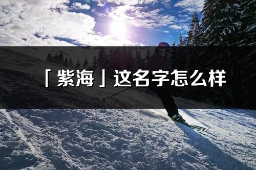 「紫?！惯@名字怎么樣_紫海的名字解釋