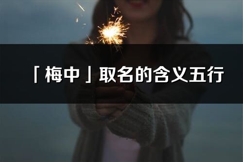 「梅中」取名的含義五行_梅中名字寓意解釋