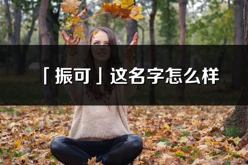 「振可」這名字怎么樣_振可的名字解釋