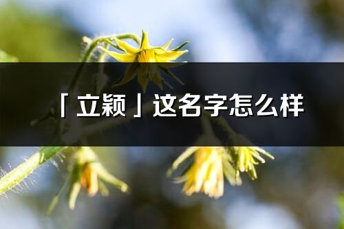 「立穎」這名字怎么樣_立穎的名字解釋