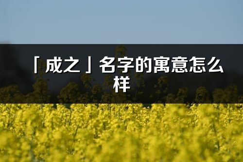 「成之」名字的寓意怎么樣_成之的出處