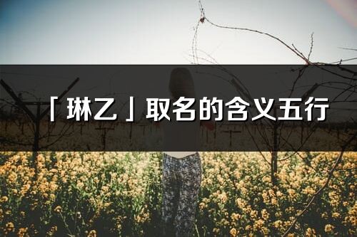 「琳乙」取名的含義五行_琳乙名字寓意解釋